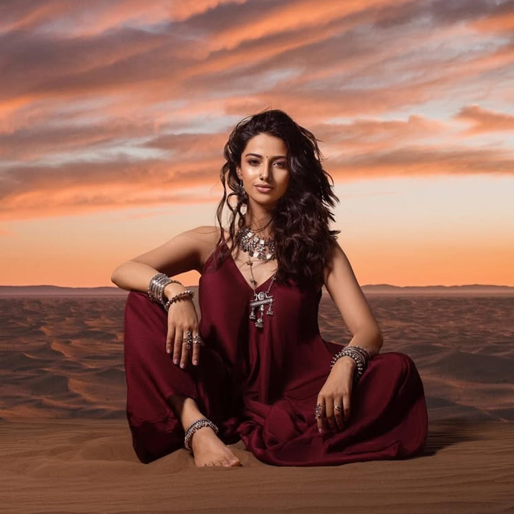 విజయ్, దుల్కర్ సల్మాన్, వెంకటేష్  వంటి స్టార్ హీరోలకు జోడిగా నటించిన మీనాక్షి .. దాదాపు 4 నెలల్లో రూ. 800 కోట్లకు పైగా సంపాదించింది. ప్రస్తుతం ఒక్కో సినిమాకు రూ.3 నుండి రూ.5 కోట్లు పారితోషికం తీసుకుంటుంది. ఆమె ఆస్తుల మొత్తం విలువ రూ.50 లక్షల నుండి రూ.2 కోట్ల వరకు ఉంటుందని టాక్. 