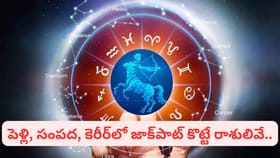 నవపంచమి యోగం! పెళ్లి, సంపద, కెరీర్‌లో జాక్‌పాట్ కొట్టే రాశులు ఇవే