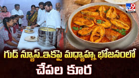 గుడ్‌ న్యూస్‌.. ఇకపై మధ్యాహ్న భోజనంలో చేపల కూర