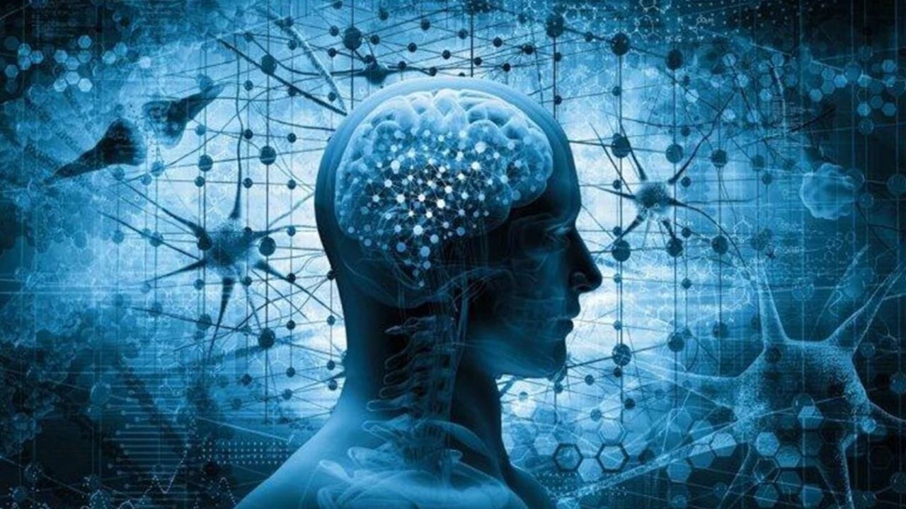 మనసు మాట వినాలా? బుద్ధి చెప్పింది వినాలా? మనసును జయించి అద్భుతమైన జీవితాన్ని సొంతం చేసుకోండిలా!