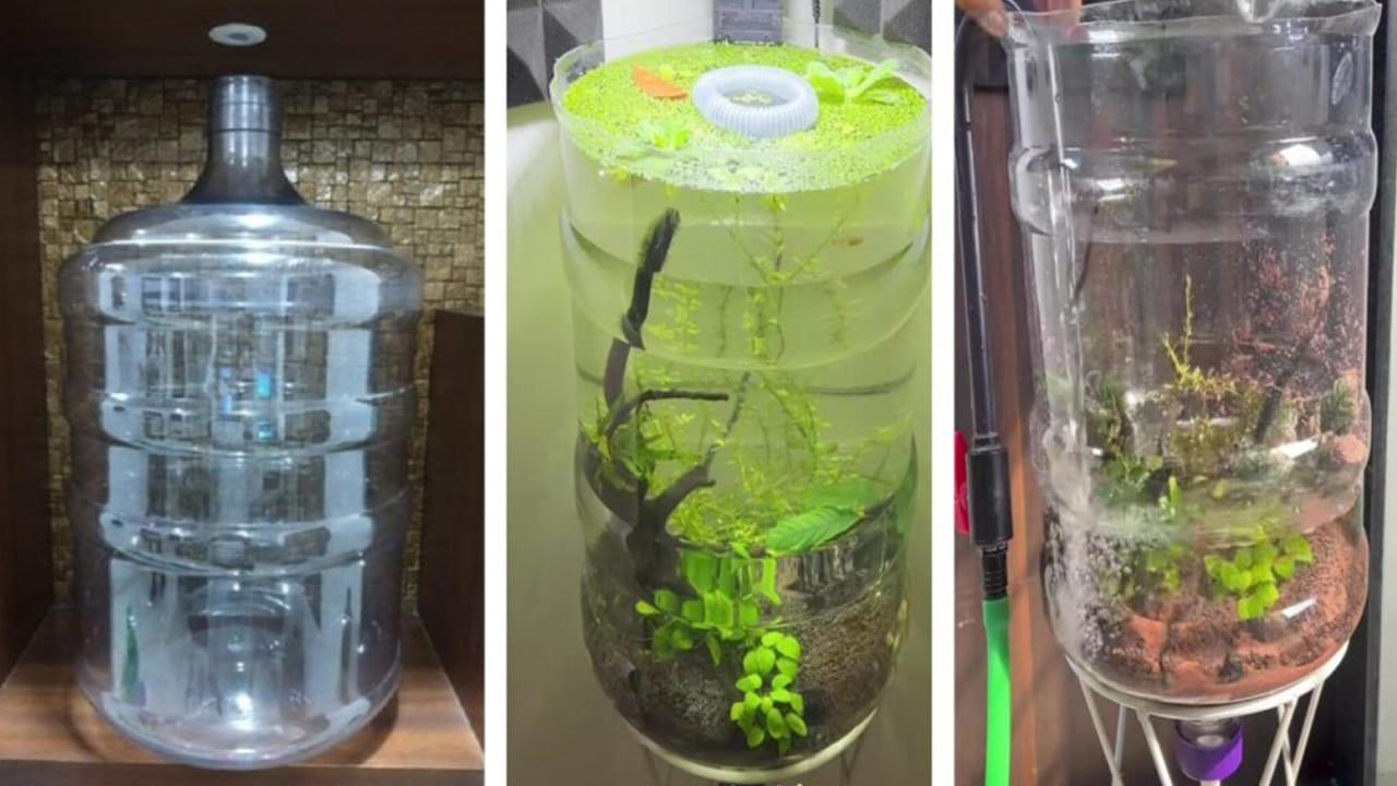 ఖాళీ వాటర్ క్యాన్‌తో అందమైన మినీ చెరువు… పైసా ఖర్చు లేకుండా హోమ్ డెకర్ ఐడియా!