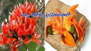 అలర్ట్.. సిగరెట్ తాగుతున్నారా..? పిల్లలకు ఆ వ్యాధి వస్తుందంట.. అధ్యయనంలో సంచలన విషయాలు