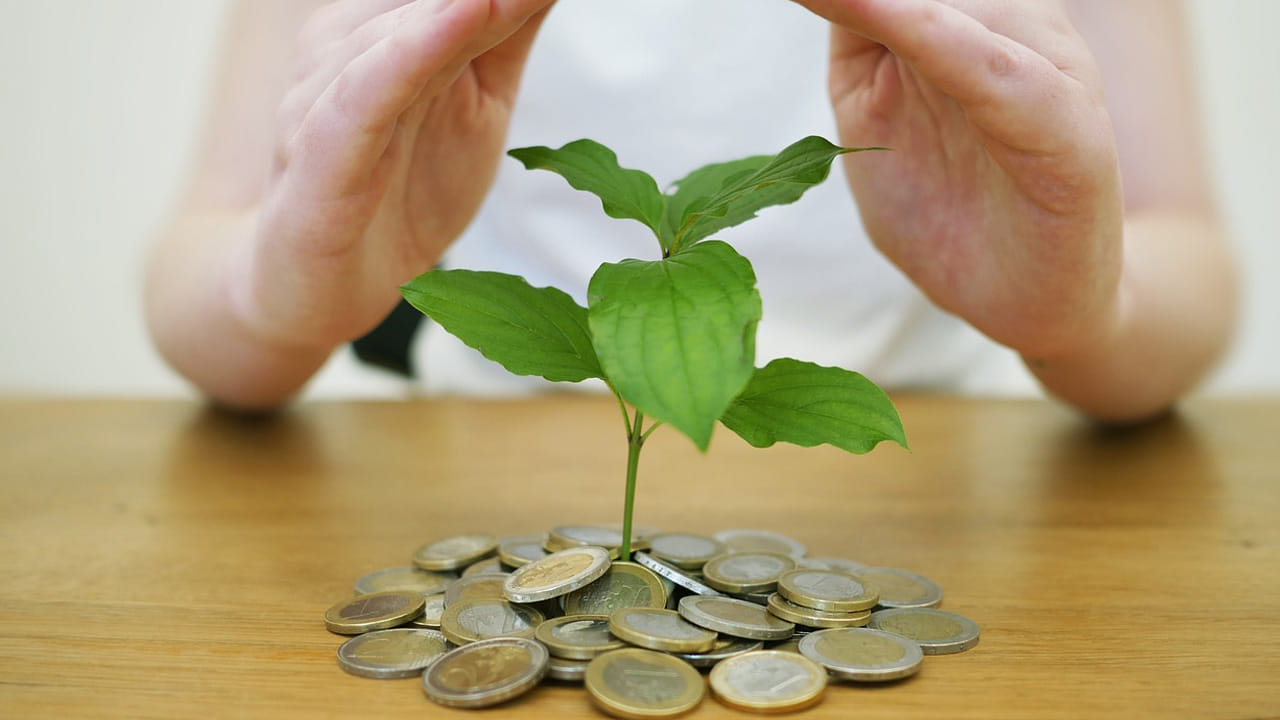 ఇప్పుడు చెప్పుకోబోయే దేశంలో డబ్బుల కట్టలు కూరగాయలు అమ్ముతున్నట్లు కరెన్సీని అముతున్నారు. జనాలు కూడా అక్కడికి వచ్చి కొనుక్కుని మరి వెళ్తున్నారు. మరి, ఇలా ఎందుకు చేస్తున్నారో ఇక్కడ చూద్దాం.. 