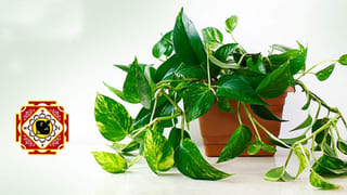 కాశీలో చనిపోతే నిజంగా మోక్షం లభిస్తుందా..? కాశీ మహిమ వెనుక ఉన్న రహస్యాలు