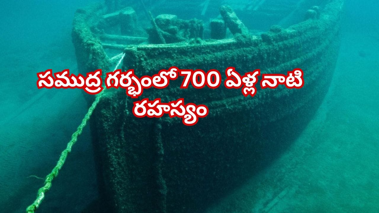 సముద్రంలో బయటపడ్డ 700ఏళ్లనాటి యుద్ధనౌక..! దాని నిండా ఇప్పటికీ చెక్కుచెదరని..