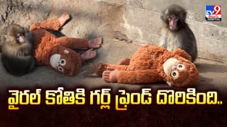 Hey Balwanth: OTTలోకి వస్తున్న సుహాస్ న్యూ ఫిల్మ్