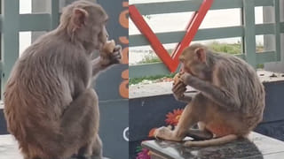 Andhra News: కుటుంబాన్ని చిదిమేసిన మానసిక వేదన.. కూతురితో సహా తల్లిదండ్రులు ఆత్మహత్య!