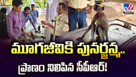 అద్భుతం.. మూగజీవికి పునర్జన్మ.. ప్రాణం నిలిపిన సీపీఆర్‌