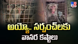 భద్రాద్రి సీతారాముల కళ్యాణం.. ఆన్‌లైన్‌లో టికెట్ బుకింగ్ లింక్ ఇదే, తలంబ్రాలు కూడా ఇంటికే..!