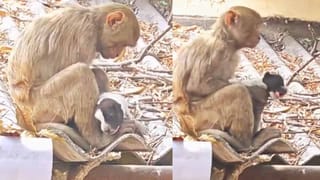 Telangana: ఏం పాపం చేశామమ్మా.. పిల్లలపై కత్తితో దాడి చేసిన తల్లి.. ఎందుకో తెలిస్తే..