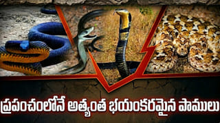 కొబ్బరి చిప్పతో భిక్షాటన చేసి .. ఒంటిమిట్ట రామాలయం అభివృద్ధిచేసిన మహానుభావుడు ఎవరో తెలుసా?