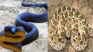 కొబ్బరి చిప్పతో భిక్షాటన చేసి .. ఒంటిమిట్ట రామాలయం అభివృద్ధిచేసిన మహానుభావుడు ఎవరో తెలుసా?