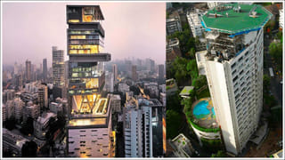 బీరకాయపెరుగు పచ్చడి ఇలా చేస్తే అస్సలు వదలిపెట్టరు