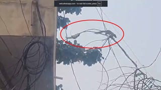 క్షుద్రపూజల కలకలం.. శివారులో భయానక దృశ్యాలు !!