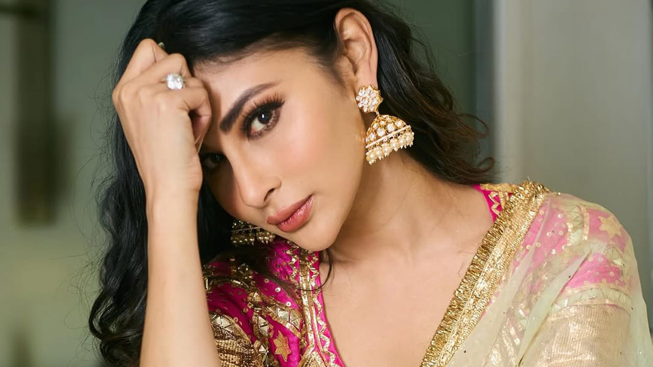 నటిగా, స్పెషల్ సాంగ్స్ ద్వారా మంచి గుర్తింపు తెచ్చుకుంటున్న ఈ చిన్నది , ఏకంగా చిరు సినిమాలోనే ఛాన్స్ కొట్టేసింది. చిరంజీవి విశ్వంభర సినిమాలో ఈ ముద్దుగుమ్మ స్పెల్ సాంగ్ చేస్తున్నట్లు సమాచారం. అంతే కాకుండా హిందీలో పలు సినిమాల్లో వరసగా సినిమాలు చేస్తూ ఫుల్ బిజీగా గడిపేస్తుంది.