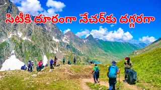 ఆలివ్ ఆయిల్, నిమ్మరసం కలిపి తాగుతున్నారా? కొత్త ‘హెల్త్ షాట్’ వల్ల కలిగే లాభాలేంటో తెలుసా