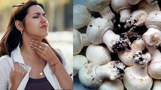 Golden Milk: పసుపు పాలు ఎప్పుడు తాగాలో తెలుసా? రాత్రి పూట తాగితే కలిగే ఈ ప్రయోజనాలు తెలిస్తే అస్సలు వదలరు!