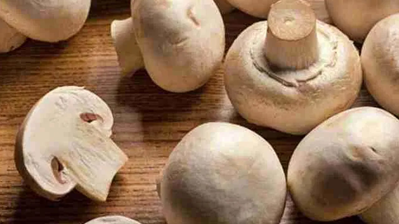 (NOTE: ఇందులోని అంశాలు కేవలం అవగాహన కోసం మాత్రమే. నిపుణులు అందించిన సమాచారం ప్రకారం ఇక్కడ తెలియజేయడమైనది. ఆరోగ్యరీత్యా ఎలాంటి సమస్యలు ఉన్నానేరుగా వైద్య నిపుణులను సంప్రదించడం మంచిది)