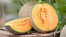 అద్భుతం.. మహాఅద్భుతం.. వేసవిలో ఈ పండు తినండి చాలు..