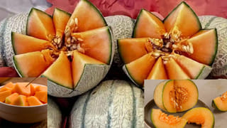 సిలిండర్‌లో గ్యాస్ ఎంత ఉందో తెలియడం లేదా? చిన్న ట్రిక్‌తో ఈజీగా తెలుసుకోండి!