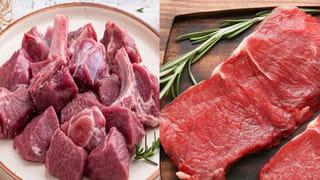 Watermelon Seeds: పుచ్చకాయ గింజలు తింటే మీ బాడీలో ఏం జరుగుతుందో తెలుసా..? అసలు విషయం తెలిస్తే నోరెళ్లబెడతారు..