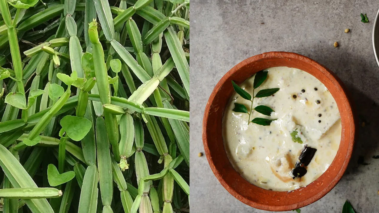 రక్తంలోని చక్కెర స్థాయిలను నియంత్రించడంలో, శరీరంలోని అదనపు కొవ్వును కరిగించి బరువు తగ్గడంలో ఇది సహాయపడుతుంది. మహిళల్లో నెలసరి సమయంలో వచ్చే నొప్పులను, మెనోపాజ్ దశలో ఎదురయ్యే ఎముకల సాంద్రత తగ్గే సమస్యను ఇది అరికడుతుంది.