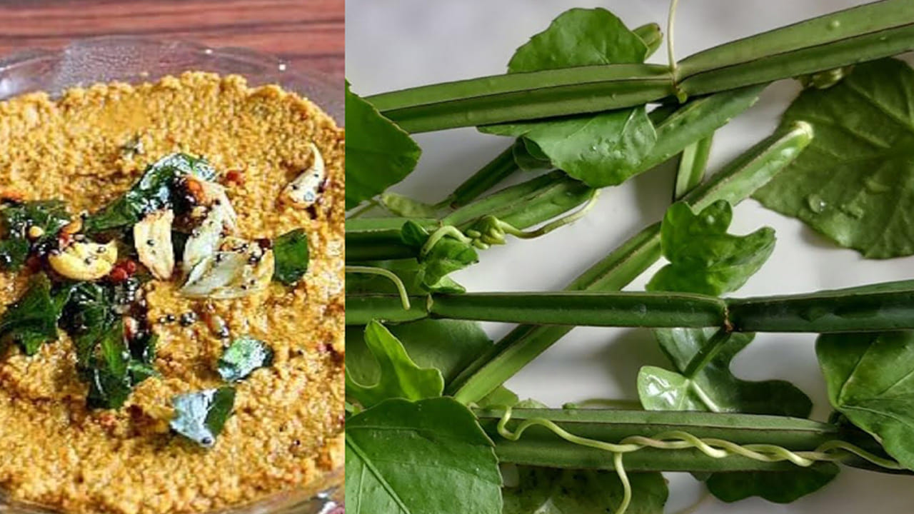 ఎలా తీసుకోవాలి?: నల్లేరు కాడల పైన ఉండే ఈనెలను తీసివేసి, చిన్న ముక్కలుగా కోసి నెయ్యి లేదా నూనెలో వేయించాలి. ఆ తర్వాత పల్లీలు, చింతపండు, మిరపకాయలు కలిపి పచ్చడిలా చేసుకుని తినవచ్చు. అయితే, నల్లేరు కాడలు కోసేటప్పుడు చేతులకు నూనె రాసుకోవడం మంచిది. లేదంటే కొందరికి దురద వచ్చే అవకాశం ఉంటుంది.