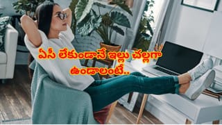 అబ్రకదబ్ర.. ఒక్క ఆకుతో ఇన్ని లాభలా..? ఉదయాన్నే ఇలా చేస్తే ఆ రోగాలకు ఓం భీం బుష్ అంతే..