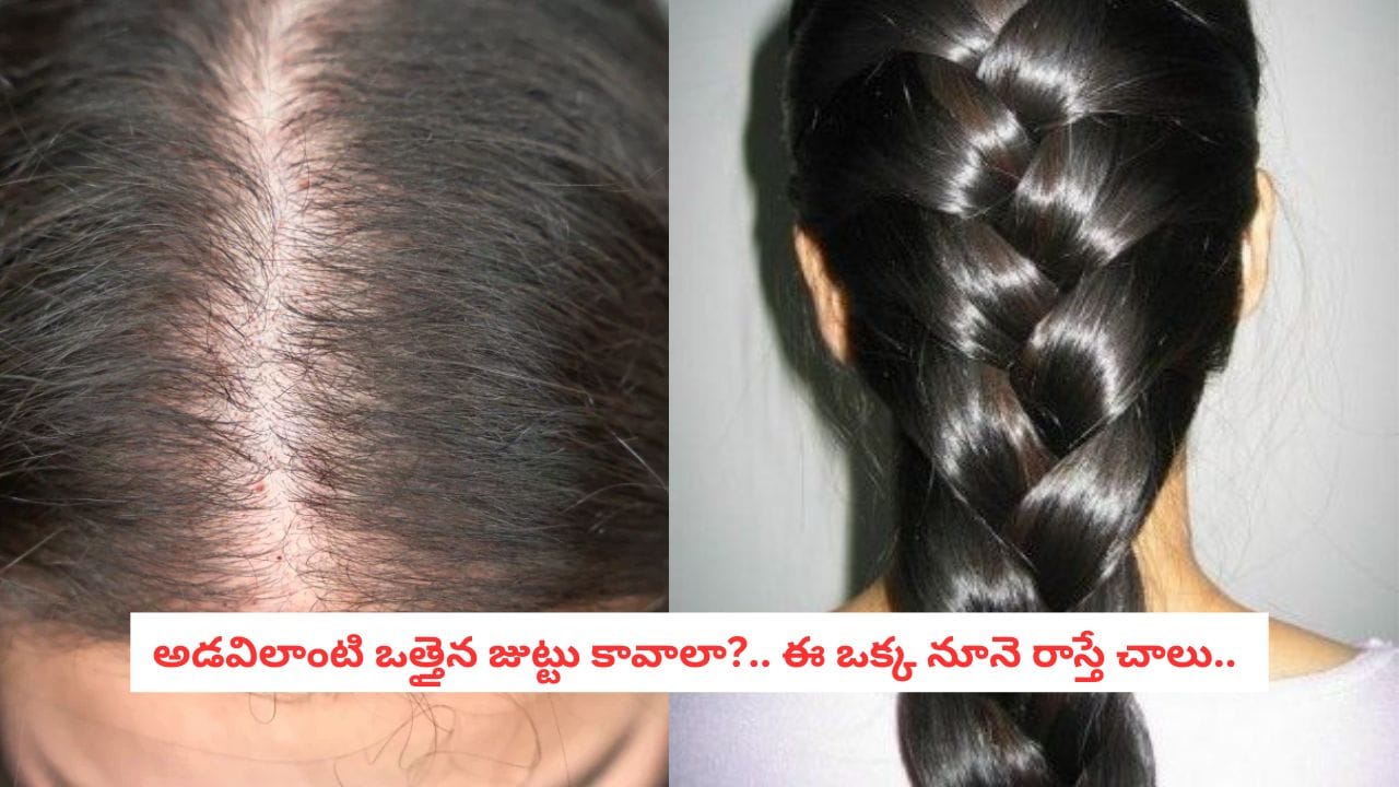 Hair Growth Hacks: జుట్టు పలుచబడి బట్టతల కనిపిస్తోందా?.. ఈ ఒక్క నూనె మీ శిరోజాలకు తిరిగి ప్రాణం పోస్తుంది..!