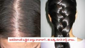 అడవిలాంటి ఒత్తైన జుట్టు కావాలా?.. ఈ ఒక్క నూనె రాస్తే చాలు..