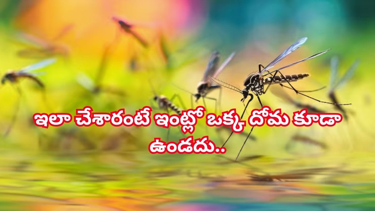 కర్పూరంతో ఇలా చేశారంటే ఇంట్లో ఒక్క దోమ కూడా ఉండదు.. రాత్రంతా హాయిగా నిద్రపోవచ్చు..!