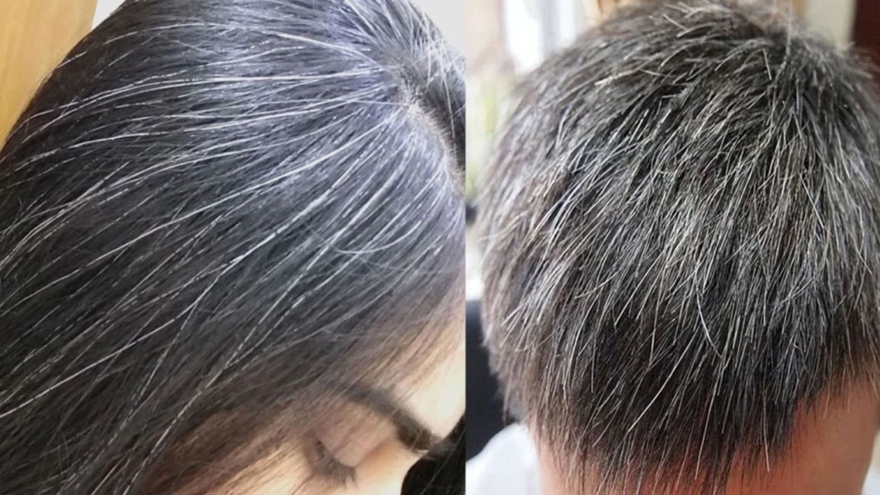 తెల్లజుట్టు అనేది ప్రతి ఒక్కరిని వేదిస్తున్న ప్రధాన సమస్య. ఈ సమస్యను తగ్గించుకునేందుకు జనాలు మార్కెట్‌లో దొరికే అడ్డమైన హెయిర్ కలర్స్‌ను యూజ్ చేస్తూ ఉంటారు. దీని వల్ల జుట్టు తెల్లబడడం కాదకదా.. కొన్నిసార్లు రాలిపోయే ప్రమాదం కూడా ఉంటుంది. కాబ్టటి ఇప్పుడు మేం చెప్పబోయే టిప్స్‌ పాటిస్తే మీరు ఇంట్లోనే జుట్టును నల్లగా మార్చుకోవచ్చు.