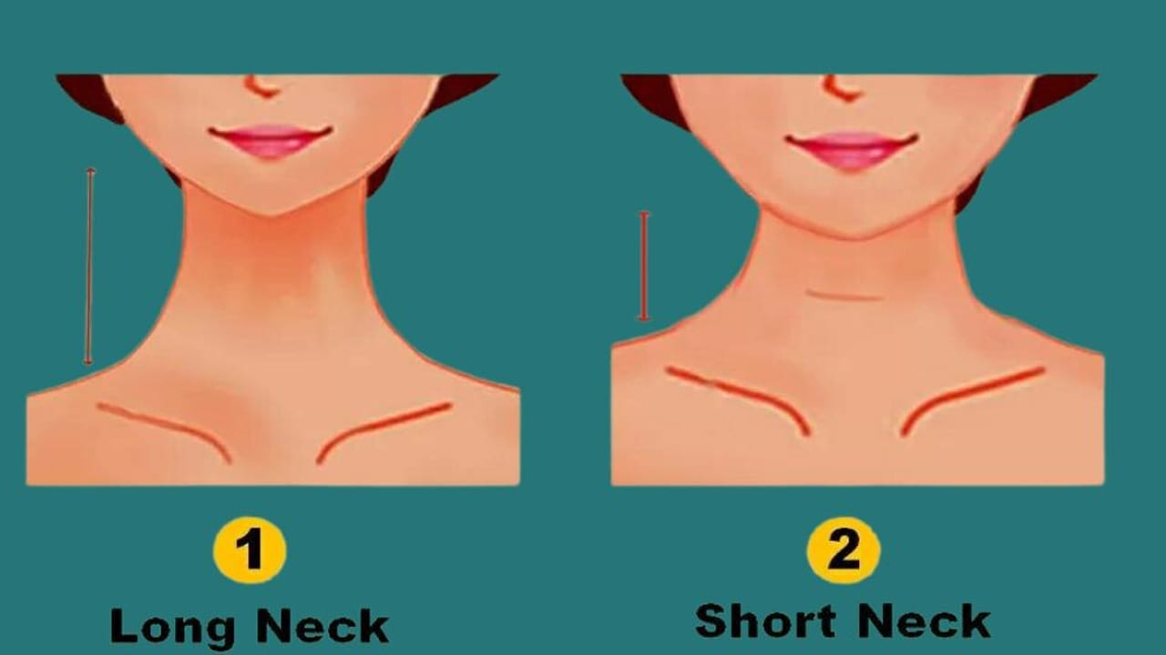 మీ మెడ పొడుగ్గా లేదా పొట్టిగా ఉందా..? మీ వ్యక్తిత్వం ఎంటో ఇలా తెలుసుకోండి..!