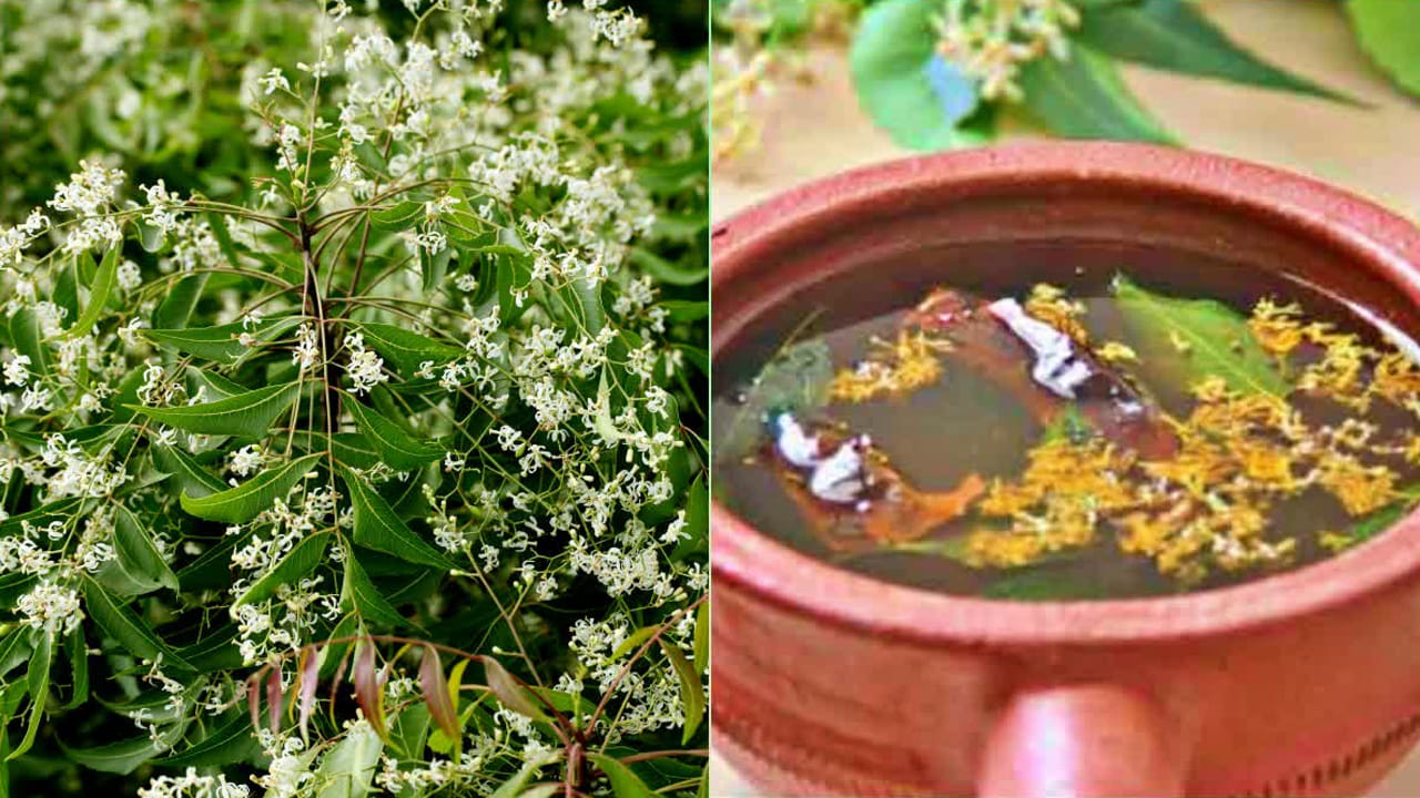 నేటి కాలంలో పెరిగిపోతున్న ఒత్తిడి, ఆందోళనను తగ్గించి మనసును ప్రశాంతంగా ఉంచడానికి వేప పువ్వు సహాయపడుతుంది. ఇందులో ఉండే యాంటీ బ్యాక్టీరియల్ గుణాలు చర్మ ఇన్ఫెక్షన్లను దూరం చేస్తాయి. చర్మంపై ముడతలను తగ్గించి, యవ్వనంగా కనిపించేలా చేస్తాయి. వేప పువ్వులోని యాంటీ బ్యాక్టీరియల్ గుణాలు అధికంగా ఉంటాయి. దీని వలన ఇన్‌ఫెక్షన్లు తగ్గుతాయి.
