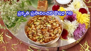 మల్టీగ్రెయిన్ పిండి అందరికీ మంచిది కాదా? ఈ 4 రకాల వ్యక్తులు పొరపాటున కూడా దీనిని తినకూడదు!