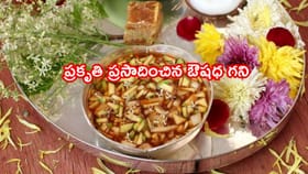 ఉగాది పచ్చడిలో వేప పువ్వు.. ప్రకృతి ప్రసాదించిన ఔషధ గని..అమేజింగ్