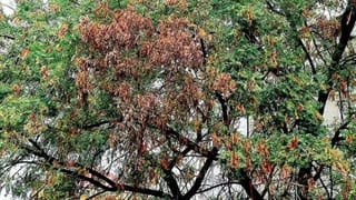 Andhra: చూడండి చెడు అలవాట్లు మనిషిని ఎంత స్థాయికి తీసుకెళ్తాయో..