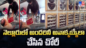 Nellore: నెల్లూరులో అందరినీ అవాక్కయ్యేలా చేసిన చోరీ