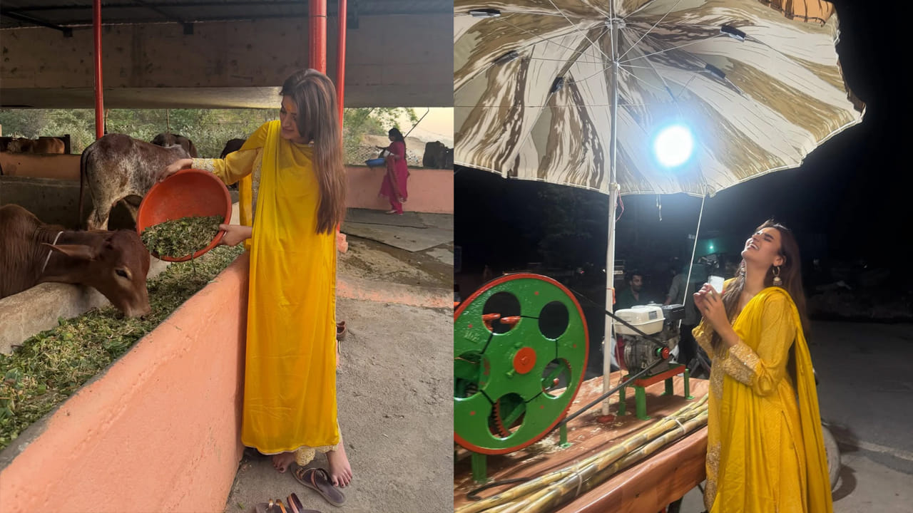   దీని తర్వాత పాన్ ఇండియా సూపర్ స్టార్ ప్రభాస్ నటించిన ది రాజాసాబ్ లోనూ నిధి అగర్వాల్ హీరోయిన్ గా యాక్ట్ చేసింది. ఈ ఏడాది సంక్రాంతికి విడుదలైన ఈ సినిమా కూడా నిధిని నిరాశపర్చింది.
