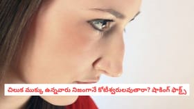 చిలుక ముక్కు ఉన్నవారు నిజంగానే కోటీశ్వరులవుతారా? షాకింగ్ ఫాక్ట్స్