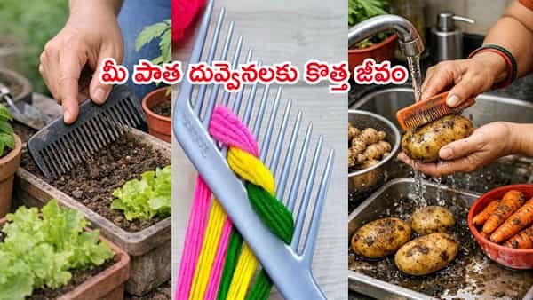 పాత దువ్వెనలను పారేస్తున్నారా? ఆగండి! ఇలాంటి క్రియేటీవ్ ఐడియాలతో వాటిని మళ్లీ వాడేయండి!