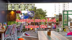 టేస్టీ.. టేస్టీ ఫుడ్‌తో పాటు అవి కూడా.. కావాలంటే కేరాఫ్ ఒలివియా!