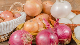 ఉల్లిపాయలు రోజుల తరబడి ఫ్రెష్‌గా ఉండాలా..? అద్భుతమైన ట్రిక్స్‌