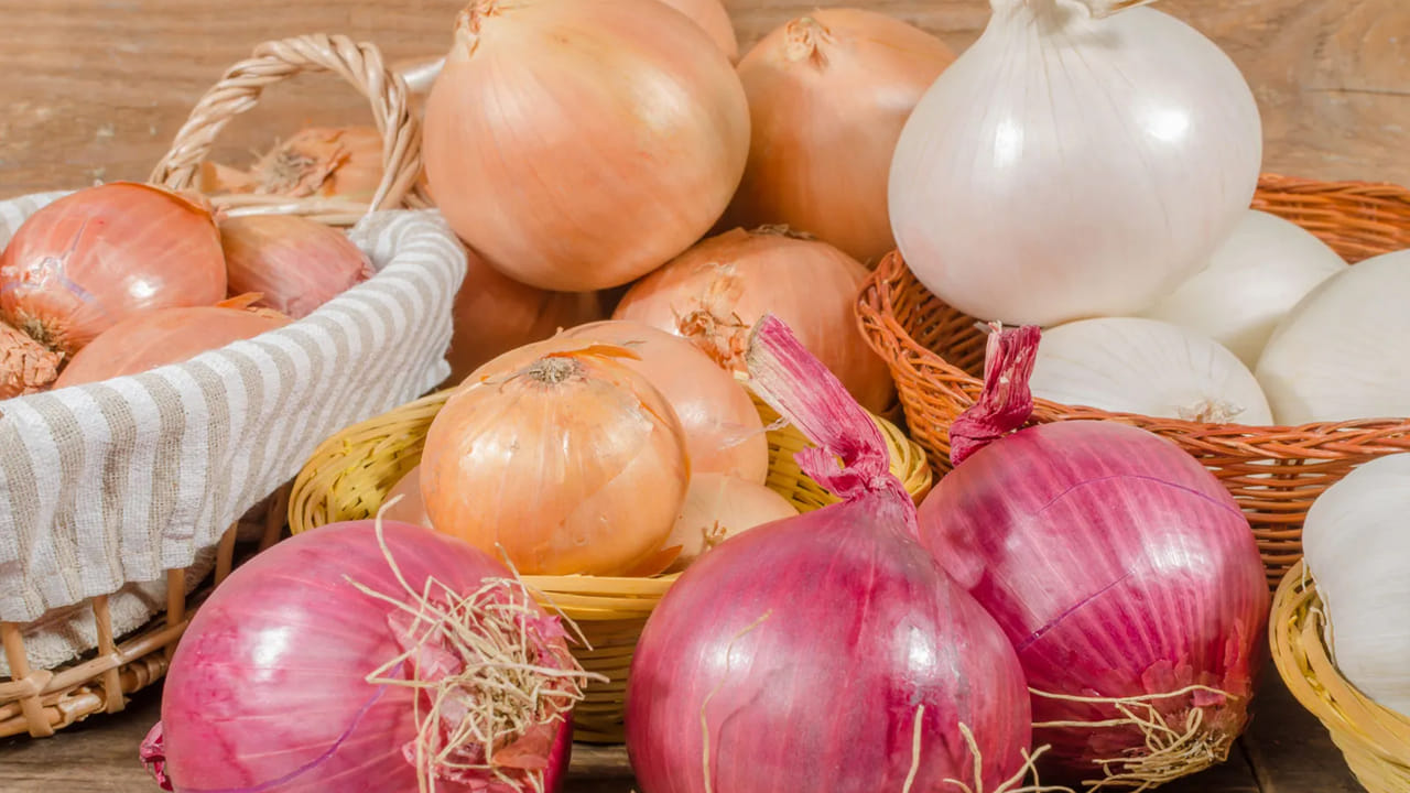  అయితే ఈ మూడింటిని సరిగ్గా ఉంచుకోకపోతే ముఖ్యంగా వేసవిలో కుళ్లిపోతుంటాయి. ఉల్లిపాయలను ఎలా నిల్వ చేయాలో తెలుసుకుందాం. ఎల్లప్పుడూ పొడి ఉల్లిపాయను ఎంచుకోండి. ఉల్లిపాయలు ఎక్కడ ఉంచితే అక్కడ గాలి రావాలి.