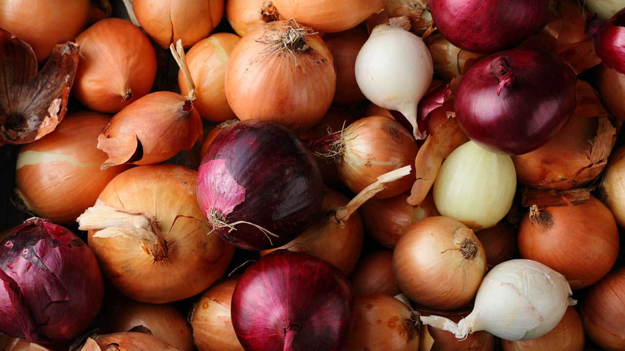 మీరు ఉల్లిపాయను కుళ్ళిపోకుండా కాపాడుకోవాలనుకుంటే దానిని చల్లని వాతావరణంలో ఉంచడం మంచిదంటున్నారు నిపుణులు. ఇలా చేయడం వల్ల ఉల్లిపాయలు కుళ్లిపోకుండా ఎక్కువ కాలం ఉంటుంది. బంగాళదుంపలు, ఉల్లిపాయలను వంటగదిలో వెంటిలేషన్ ప్రదేశంలో ఉంచండి. వేడి, సూర్యకాంతి నుండి రెండింటినీ దూరంగా ఉంచండి. అవసరమైతే తప్ప ఉల్లిపాయలను కడగవద్దు.