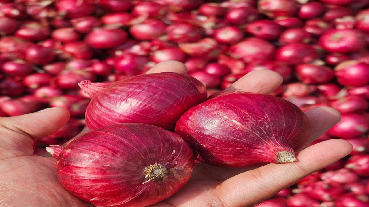  ఉల్లిపాయను పొడి గుడ్డతో తుడిచి, ఆపై నిల్వ చేయండి. ఉల్లిపాయలను ప్లాస్టిక్ బ్యాగ్‌లో ఉంచకుండా, వాటిని బుట్టలో నిల్వ చేయండి. అన్ని వైపుల నుండి గాలి వచ్చే అటువంటి కంటైనర్‌ను ఉపయోగించండి. ఇతర పండ్లు, కూరగాయల నుండి దూరంగా ఉంచండి.