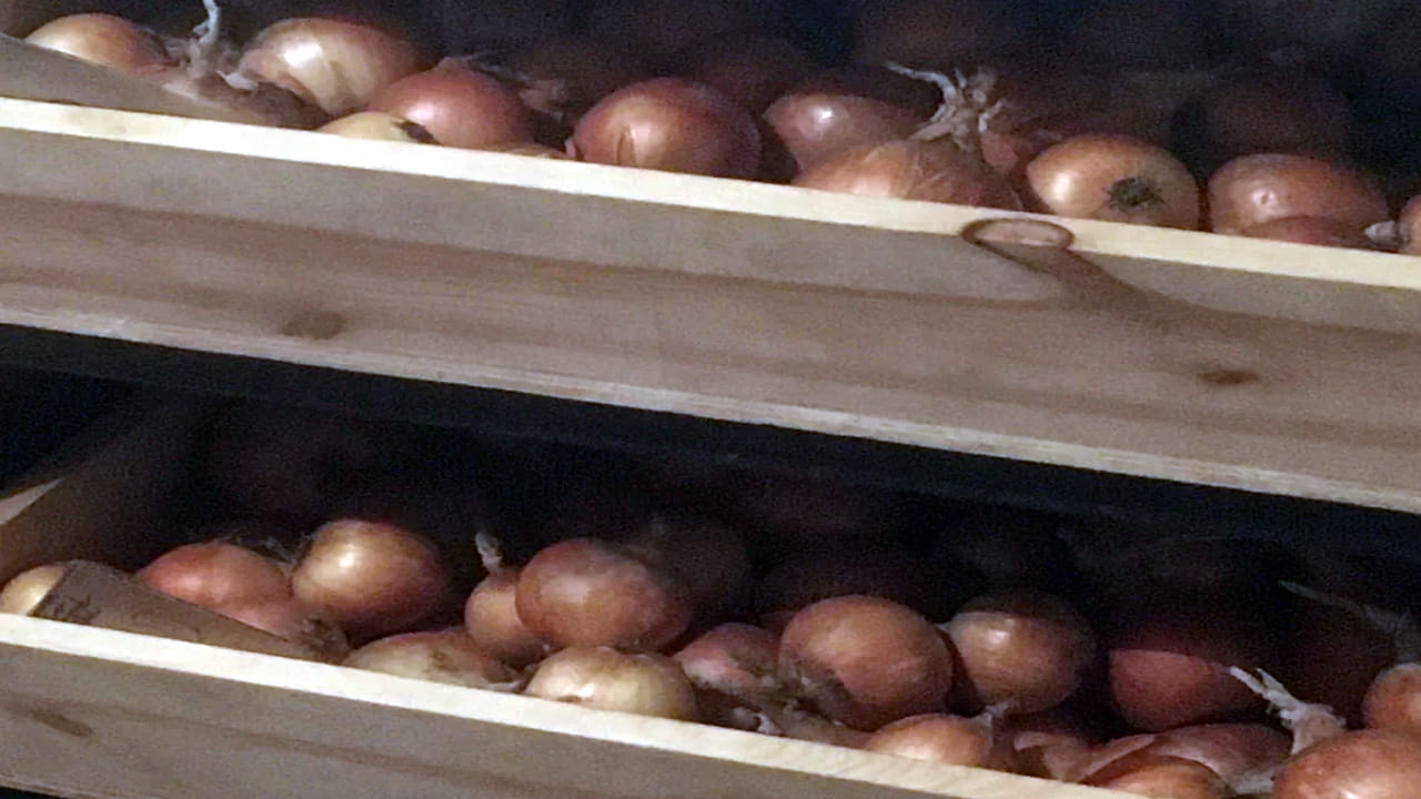  తడిగా ఉన్న ప్రదేశాల నుండి దూరంగా ఉంచండి. లేకపోతే అది వెంటనే కుళ్ళిపోతుంది. ఉల్లిపాయను మెష్ బుట్టలో ఉంచండి. తద్వారా అన్ని వైపుల నుండి గాలి వస్తుంది. ఇంకో విషయం ఏంటంటే  బంగాళదుంపలు, ఉల్లిపాయలను కలిపి ఉంచవద్దు. చాలామంది చేసే అతిపెద్ద పొరపాటు ఇది. ఉల్లిపాయలు విడుదల చేసే ఇథిలీన్ వాయువు వల్ల పక్కనే ఉన్న బంగాళదుంపలు త్వరగా మొలకలు వచ్చి కుళ్లిపోయే అవకాశం ఉంటుంది. కాబట్టి వీటిని వేర్వేరు బుట్టల్లో ఉంచడం మంచిది.