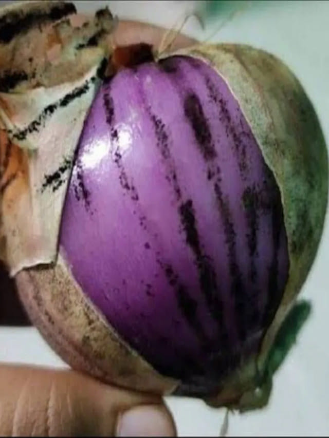 ఏమవుతుందిలే అనుకుని తిన్నారో.. మీ ఒంట్లో ఈ పార్ట్ మటాష్!