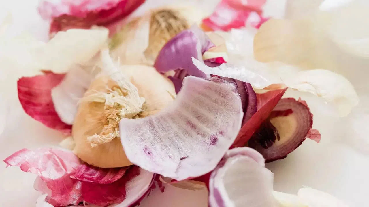 3. టీగా..
కొంతమందికి మాత్రమే తెలిసిన విషయం ఏమిటంటే.. ఉల్లిపాయ తొక్కలతో టీ కూడా తయారు చేయవచ్చు. ఈ టీ తాగడం వల్ల ఊబకాయం తగ్గడంలో సహాయపడుతుంది. అలాగే అలెర్జీలు, ఇన్ఫెక్షన్లు, అధిక రక్తపోటు సమస్యల నుంచి ఉపశమనం పొందడంలో కూడా ఉపయోగపడుతుంది.