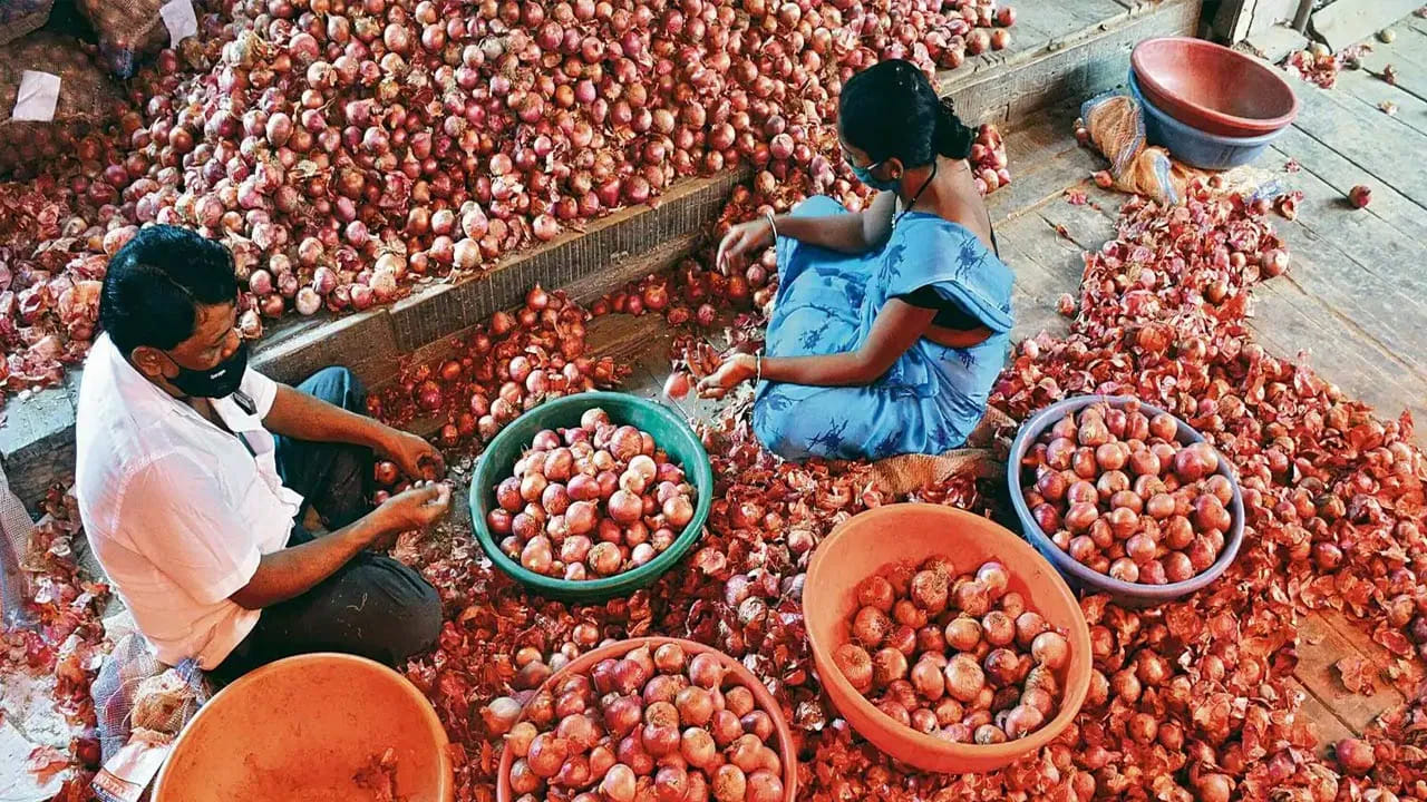 4. చర్మ సంరక్షణకు..
ఉల్లిపాయ తొక్కలలో ఉండే యాంటీఆక్సిడెంట్లు చర్మానికి మేలు చేస్తాయి. తొక్కలను నీటిలో మరిగించి, చల్లారిన తర్వాత ఆ నీటిని చర్మానికి అప్లై చేస్తే చర్మం తాజాగా కనిపిస్తుంది.